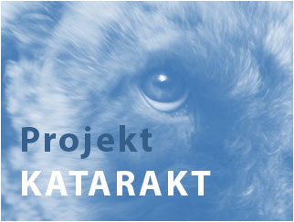 Projekt Katarakt