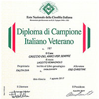 Diploma2017