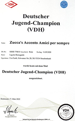 jugendchampion